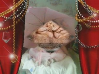 Ma petite famille a moi