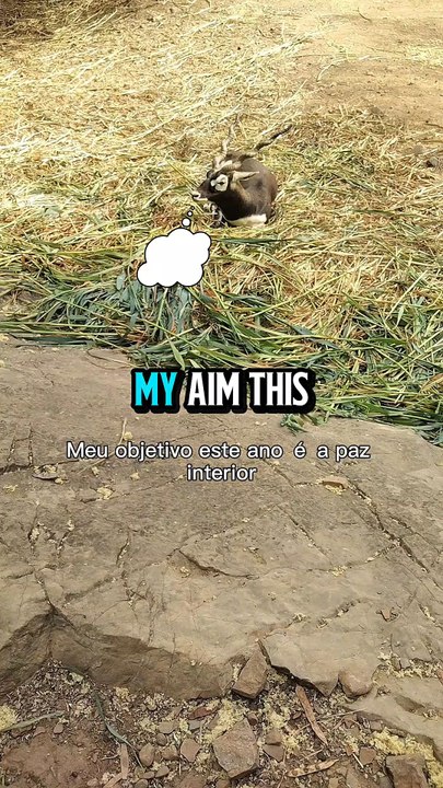 Is that your aim this year too?