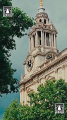 Bound by Honor | Full Movie HD - New Drama ShortFilms Hot Savannah Coffee Rhett Wellington Anna Lumley Joze Nicolini Female Romance Dark Romance Mafia Coming-of-Age First Love Gangster Love & Crime Opposites Attract USA Apartment Club Warehouse Contempora