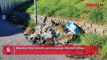 Bakırköy'de botanik parkta hayvan ölümleri iddiası