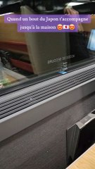 De retour du Japon, dans le train pour le sud-ouest, avec un bout du pays du soleil levant 😍🇯🇵😍