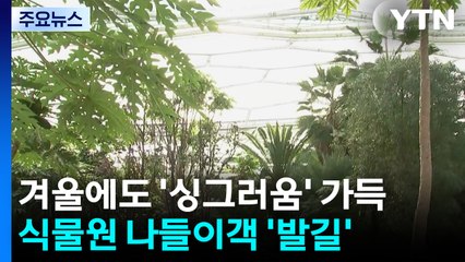 겨울에도 ’싱그러움’ 가득...식물원 나들이객 ’발길’ / YTN