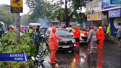 Penampakan Pohon Tumbang Timpa Mobil, Picu Kemacetan di Jalan Penghubung Sidoarjo-Pasuruan