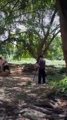 From Trouble to Triumph- When All Turns Around (DUBBED) - Chinese Drama - English Sub full movie