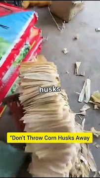 “Don’t Throw Corn Husks Away — Look What They Can Do!”#CornHusk #LifeHacks #VillageCreativity #DIYIdeas #RecyclingIdeas #SmartVillage #UnexpectedUses #SatisfyingVideo