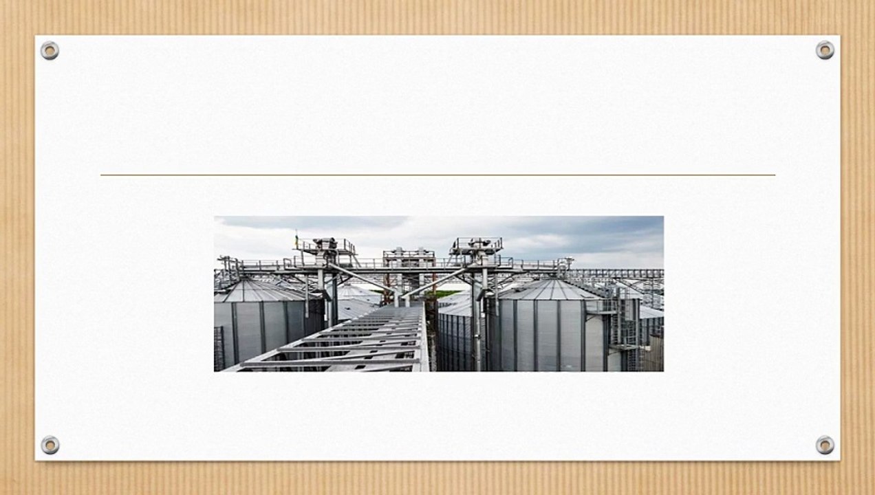 Paddy Cleaning Machine for Rice Mills in India and Flat Bottom Steel Silos for Agriculture