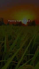 Sad urdu poetry | urdu shayari status | sad poetry