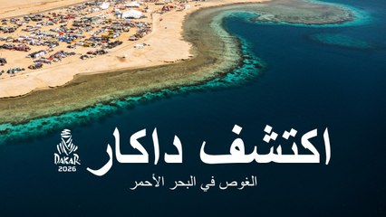 داكار 2026 - الغوص في البحر الأحمر - استكشف داكار