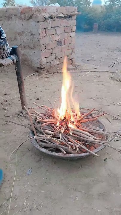 Punjabi mohal