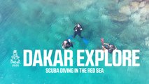 Dakar 2026 - Explore: Scuba diving in the Red Sea