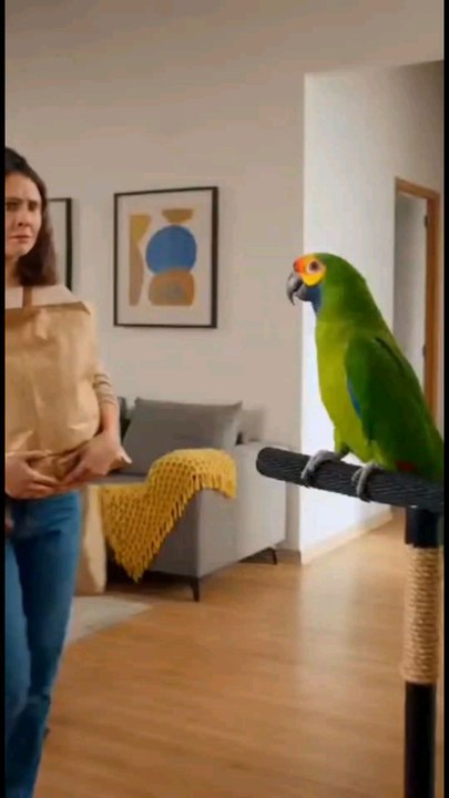 🤣 Comédies pour rire aux éclats