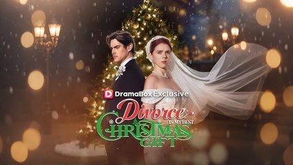 Divorce Is My Best Christmas Gift FullMovie