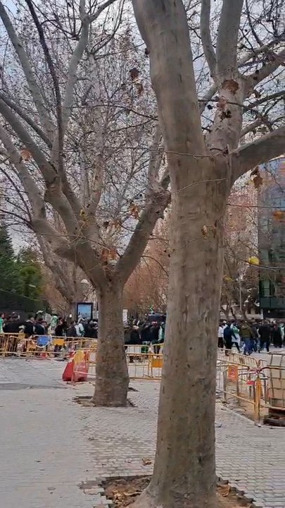 La afición del Betis ya está en los aledaños del Bernabéu para el Madrid-Betis