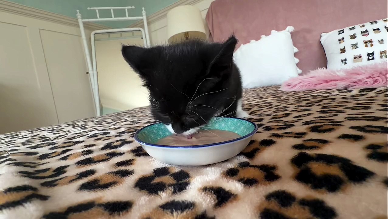Belly’s lunch