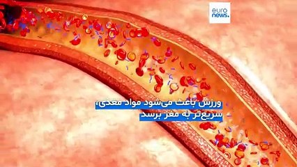 نتیجه تحقیقات: با ۱۲ هفته ورزش می‌توان مغز را سالم‌تر و حافظه را قوی‌تر کرد