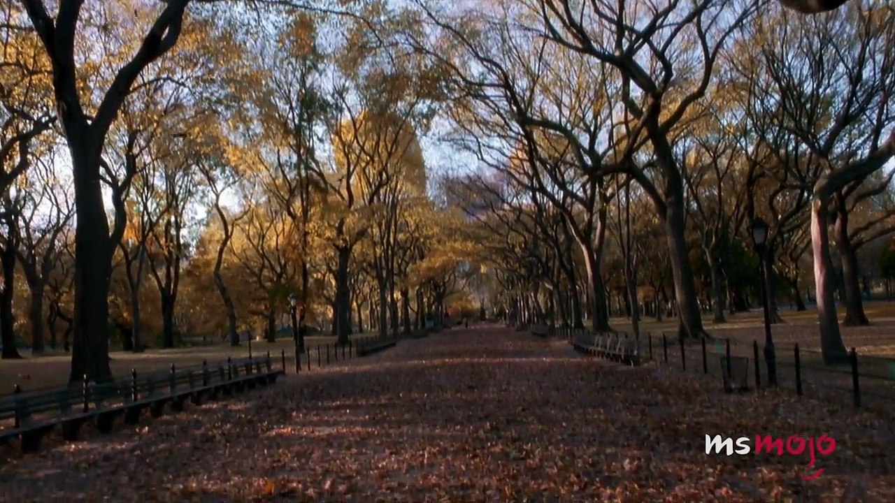 Top 20 Gossip Girl Plot Holes You Never Noticed