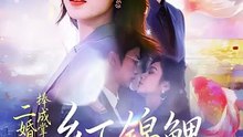 短剧 - 二婚被捧成掌中娇，乡下锦鲤名动京城  (全集上篇)