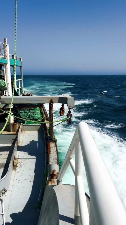 Nature , Ocean and Fishing