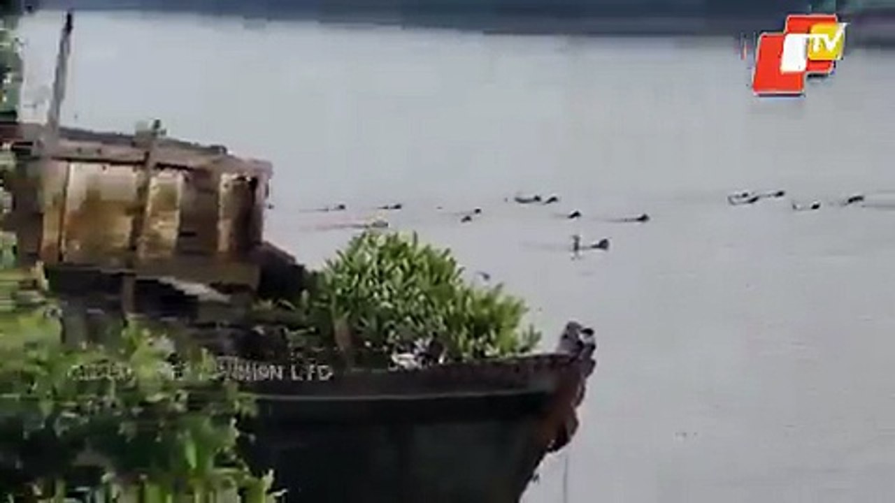 Shocking Viral Footage Sparks Massive Debate Across Social Media