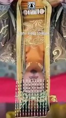 The Hidden Tyrant Full Movie 2026 English Subtitles