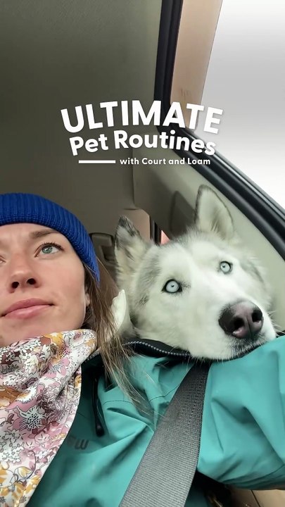 Husky s Obsession Is Skiing With Mom _ The Dodo