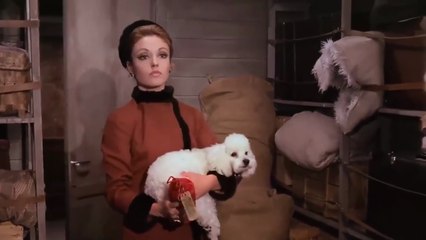 1972 Korku Treni Horror Express  TÜRKÇE DUBLAJLI FİLM İzle