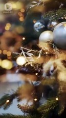 Santa Sent Me a Billionaire Husband EngSub #dramashorts