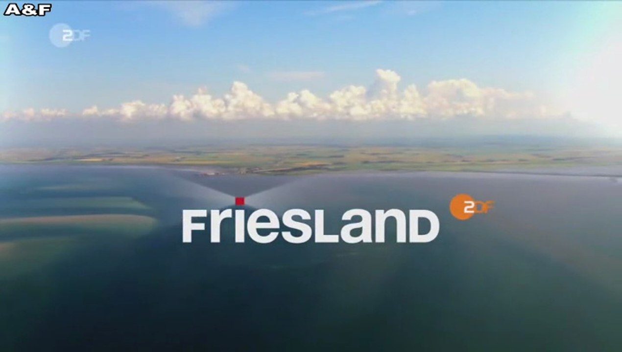 Friesland -13- Bis aufs Blut