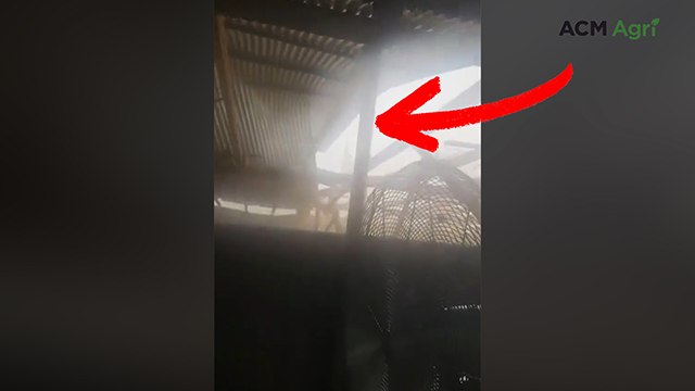 Storm hits during shearing at Clermont White Suffolk Stud