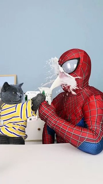 Why Did Spider-Man Fall Into The Milk Prank Again_   funnycat  funnyprank
