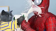 Why Did Spider-Man Fall Into The Milk Prank Again_   funnycat  funnyprank