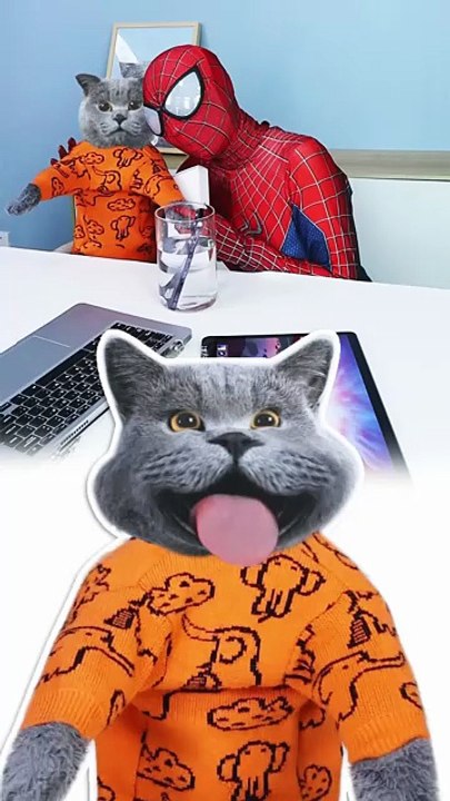 How Oscar Takes You From Shock To Anger In A Second_   funnycat  prank