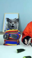 Trying An Incredible Magic Trick But Ran Into Trouble   funnycat  prank   magic