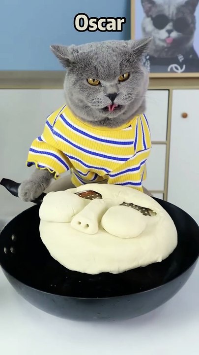 Oscar s Customized Pizza    Perfect Right_  oscarfunnyworld  funnycat  lifehacks  chef  shorts