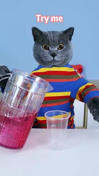 Weekly Magic Time  Oscar Has A _Unique Trick_ At The End   oscarfunnyworld  funnycat  shorts