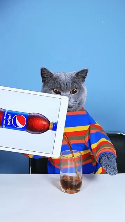 Spider-man_ Magic_ I ll Reveal Your Secret  _ Funny Magic Challenge   funnycat  catsoftiktok   shorts