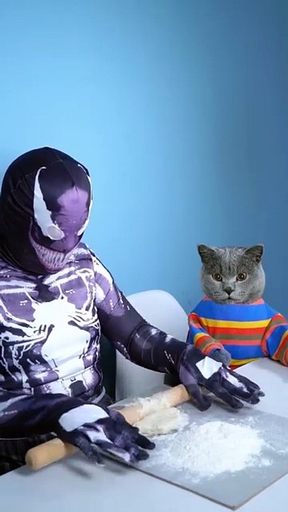 Oh No   When I Taught VENOM To Cook     _ Funny Cat TikTok   funnycat  catsoftiktok   shorts