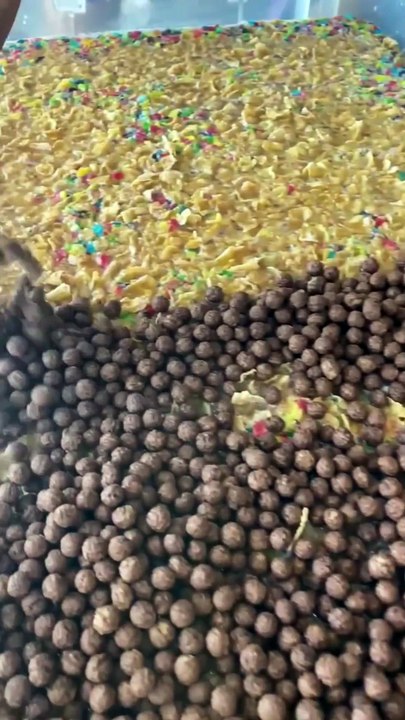 Let s Cherish Food  Not Waste It       _ Don t Waste Food   topperguild  funnycat   shorts