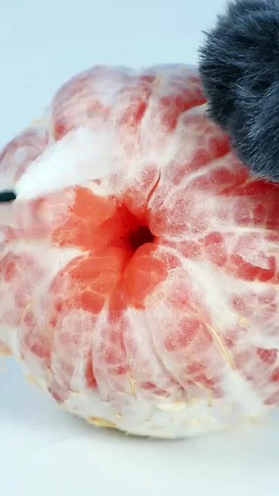Wow  Oddly Satisfying Fruit Skincare ASMR     _ Cat TikTok Challenge   funnycat  catsoftiktok  shorts