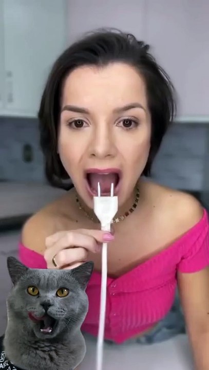 Magic Time  Amazing World Is Full Of Eyesight   _ Funny Cat TikTok   funnycat  catsoftiktok   shorts