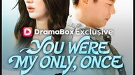 You Were My Only Once Drama Movies English Sub