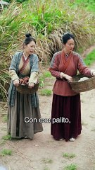 El mundo a mis pies (Doblado)