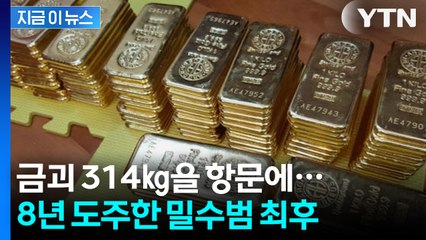 항문에 금괴 314㎏ 숨겨... 8년 도주한 밀수범 최후 [지금이뉴스] / YTN