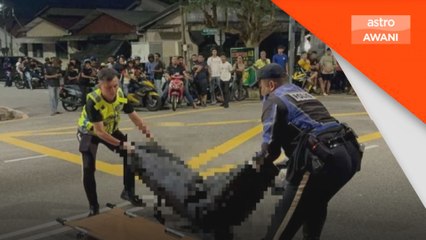 Wanita warga emas maut dilanggar pemandu disyaki mabuk