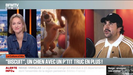 "Biscuit", un chien avec un p'tit truc en plus ! - 05/01