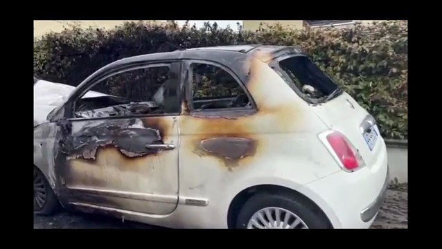 Image from field_mediaid