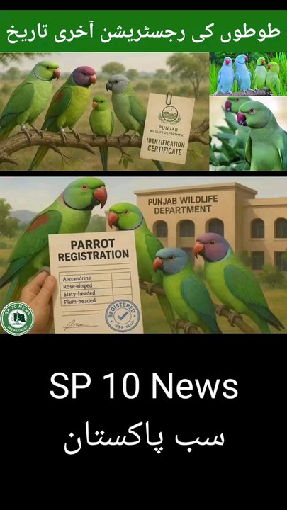 The last date for registration of parrots is January 5th.