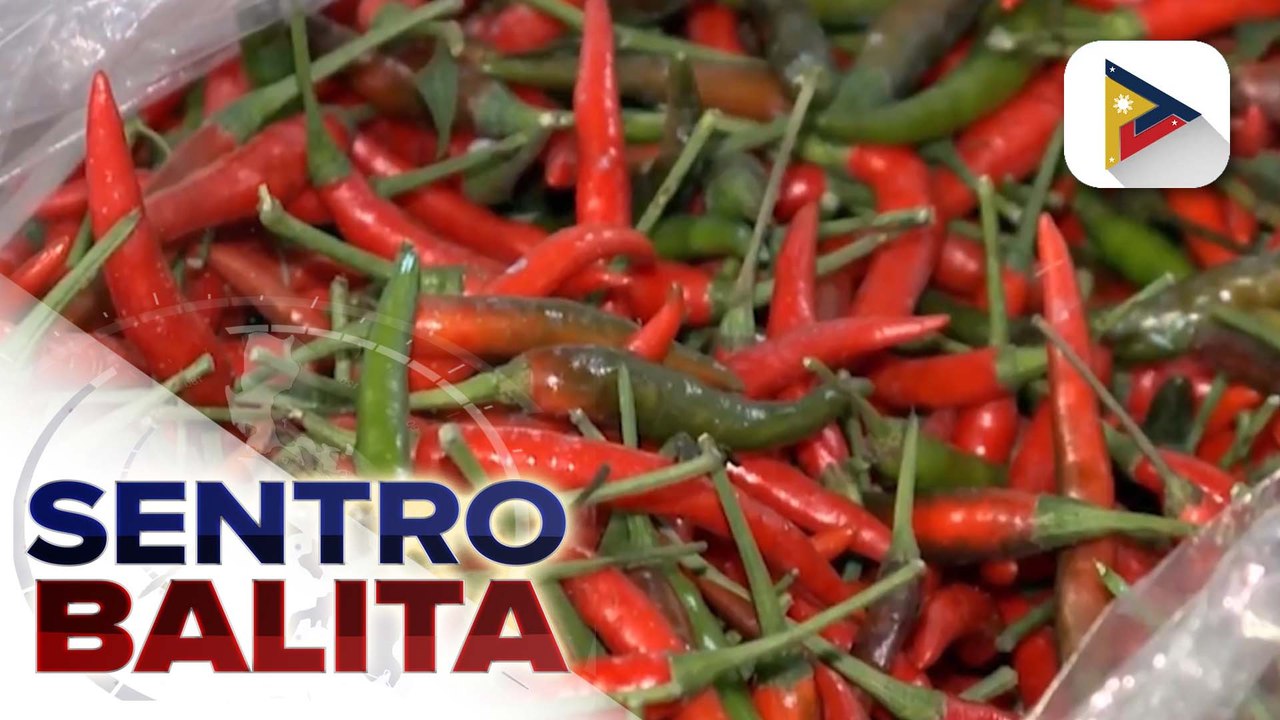 Produksyon ng sili, target na pataasin ng D.A. ngayong 2026 para matiyak ang stable nitong presyo