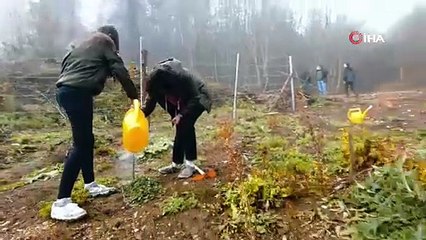 2025 YILINDA 517 milyon fidan ve tohum toprakla buluştu