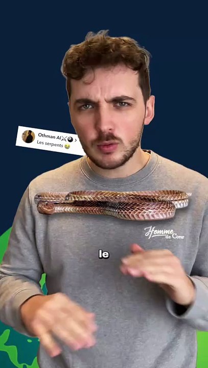 Pourquoi les serpents n'ont pas de pattes ? #serpent #patte #animaux #nature #science